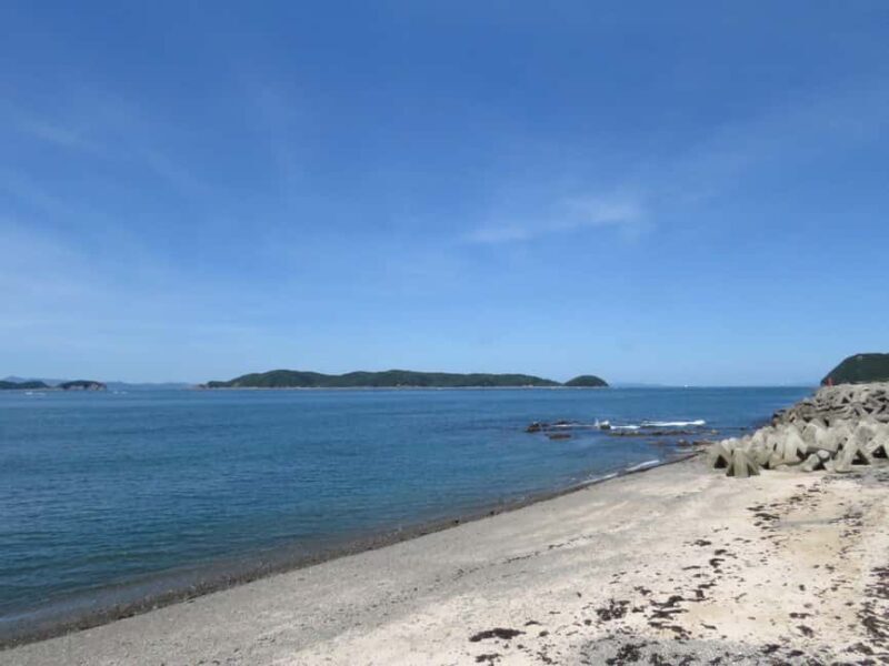 Wakayama: Kada Cycling Tour with Medetai Train Ride - The Experience in Detail