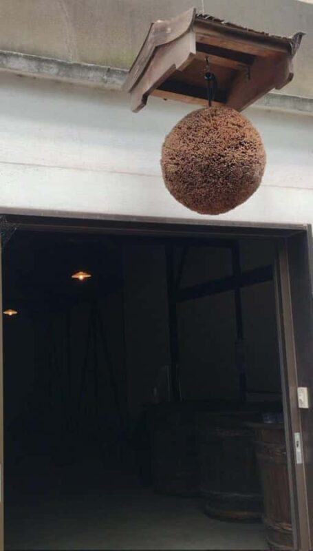 Wakayama: Kainan Plum Liqueur Factory and Historical Spots - Introduction: What Makes This Tour Special?