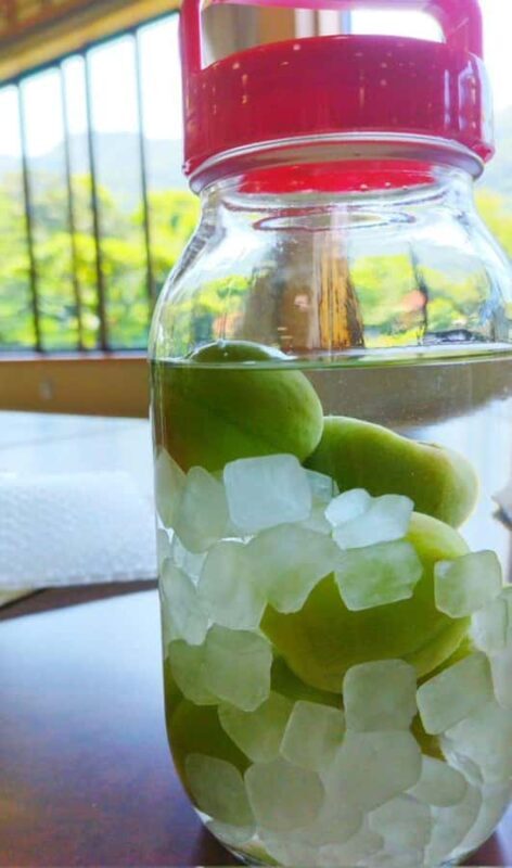 Wakayama: Kainan Plum Liqueur Factory and Historical Spots - Practical Details and Tips