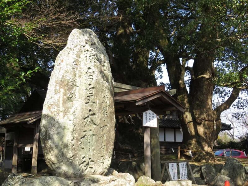 Wakayama: Kainan Plum Liqueur Factory and Historical Spots - Who Is This Tour Best For?