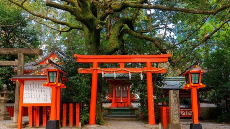 Wakayama: Kumano Kodo Sacred Sites 2-Day Tour - Final Thoughts: Who Will Love This Tour?