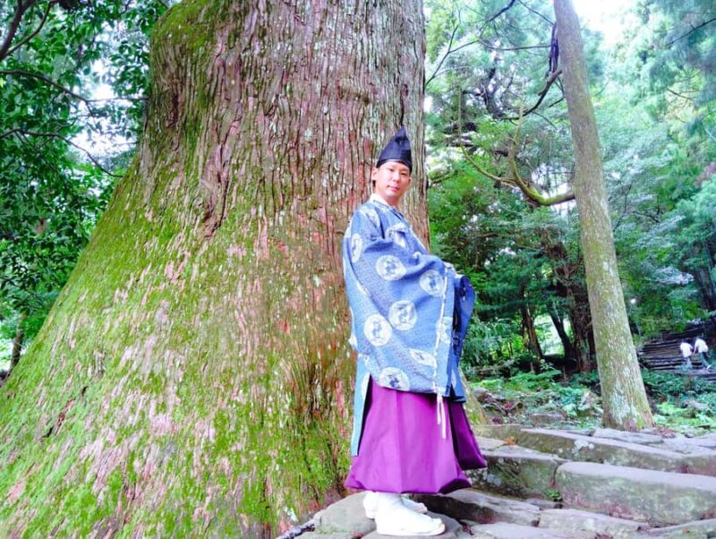 Wakayama: Kumano Kodo Sacred Walk to Nachi in Heian Attire - Who Would Love This Tour?