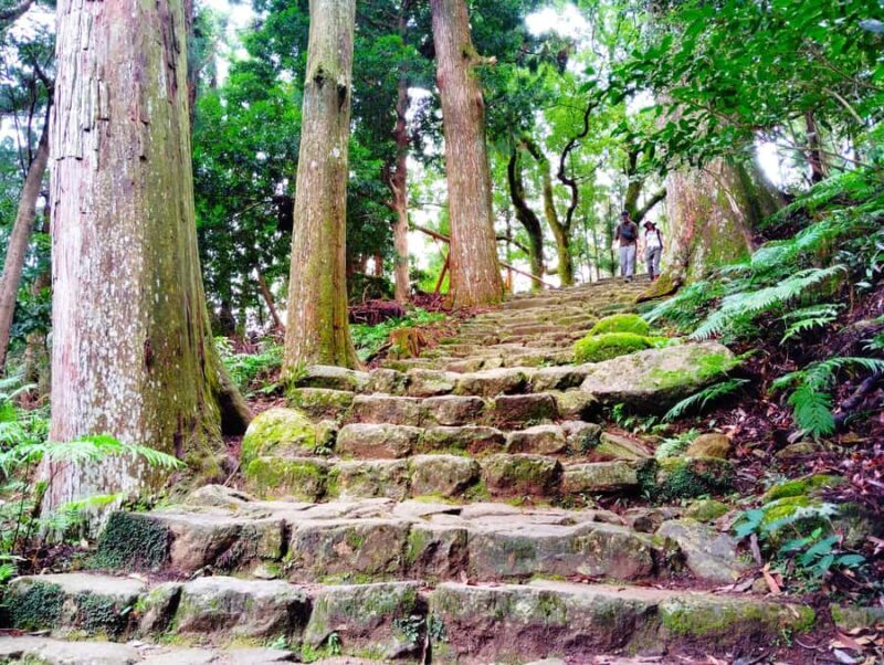 Wakayama: Kumano Nachi Taisha, Seiganto-ji & Waterfall Tour - FAQ