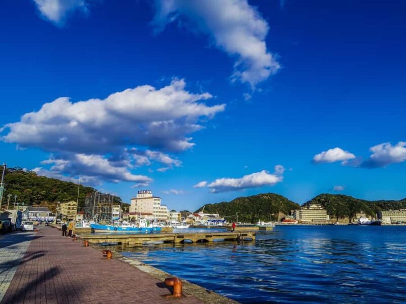 Wakayama: Learn & Taste Japan Tuna Culture in Nachikatsuura - Key Points