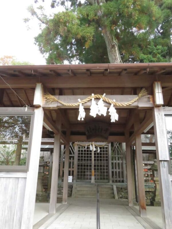 Wakayama: Legend of Princess Nagusa Tobe Walking Tour - Discovering Wakayama’s Hidden Depths