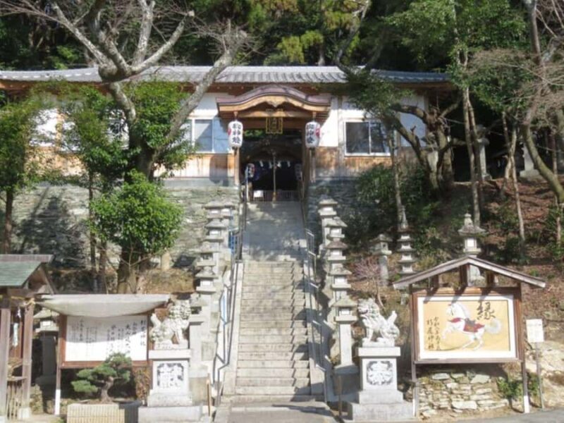 Wakayama: Legend of Princess Nagusa Tobe Walking Tour - Who Will Love This Tour?