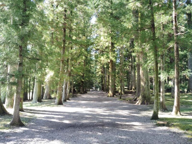 Wakayama: Legends and Purification at Kumano Hongu Shrine - Dawn Tour Option: Silence and Stillness