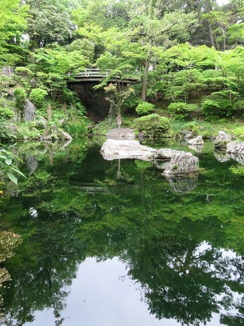 Wakayama: Local Shops and Architectures Tour - Exploring Wakayama’s Historic and Cultural Core