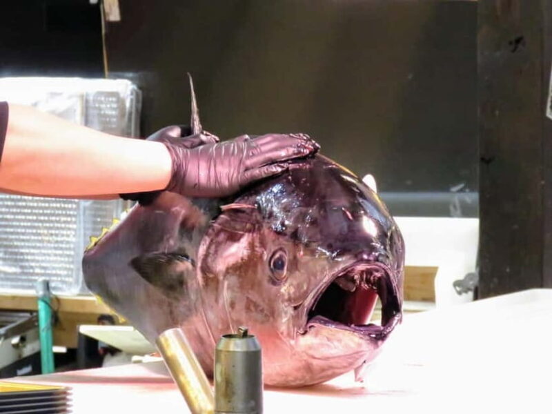 Wakayama: Marina City and Kuroe Area tour - Exploring Wakayama’s Charms