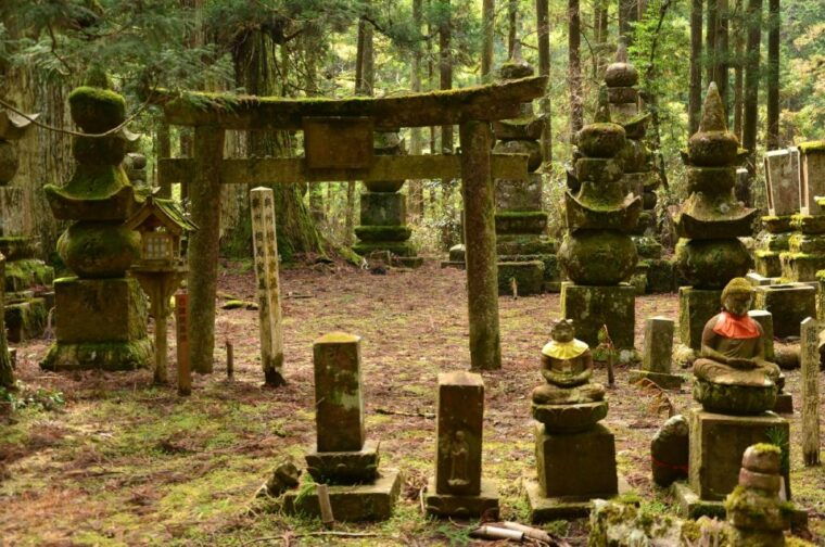 wakayama-mt-koya-private-walking-tour-with-local-guide