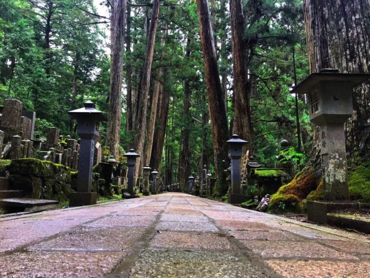 wakayama-mt-koya-private-walking-tour-with-local-guide