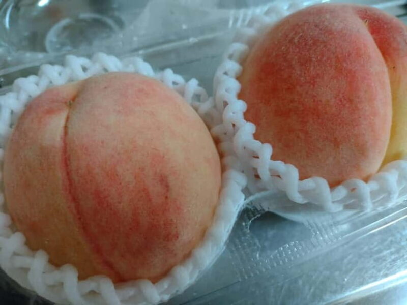 Wakayama: Private Station Food Hall Support with Guide - Key Points