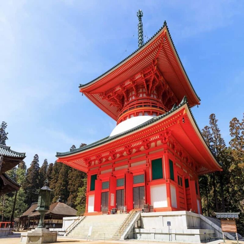 Wakayama: Private Tour to Nachi Falls & Mount Koya - In-Depth Look at the Itinerary