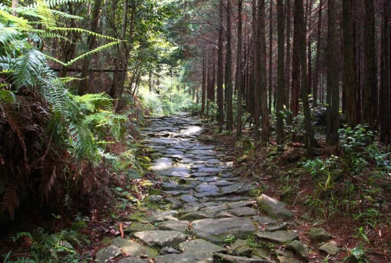 Wakayama: Shirahama & Kumano Kodo 2-Day Small-Group Tour - Final Thoughts