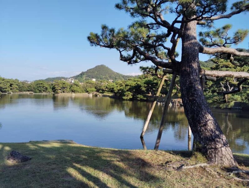 Wakayama: Yosuien Tokugawa Garden of Edo Elegance - Why This Tour Is a Great Choice