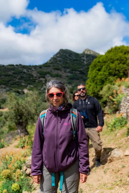 walk-among-the-olive-trees-small-group-experience
