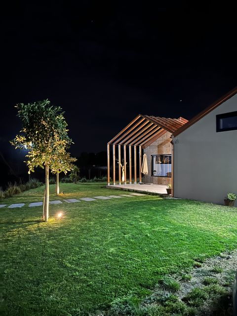 walk-among-the-rows-of-vineyards-and-wine-tasting