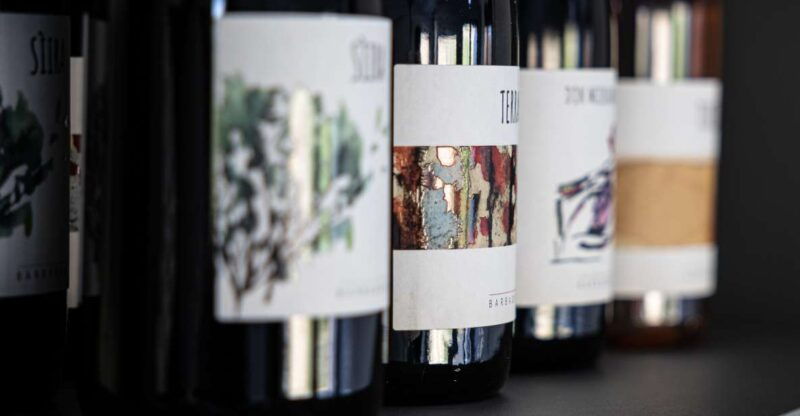 walk-among-the-rows-of-vineyards-and-wine-tasting