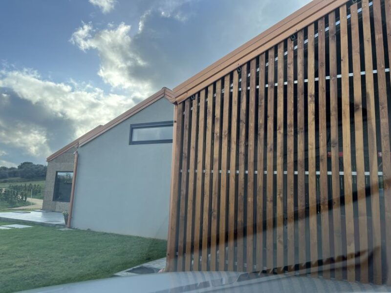 walk-among-the-rows-of-vineyards-and-wine-tasting