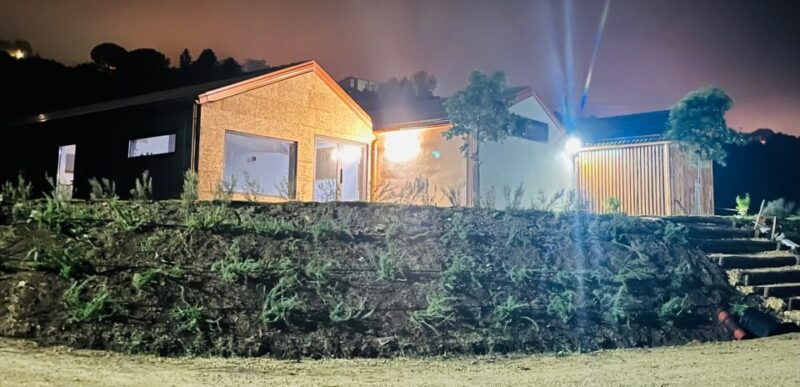 walk-among-the-rows-of-vineyards-and-wine-tasting