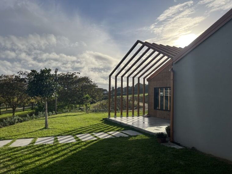 walk-among-the-rows-of-vineyards-and-wine-tasting