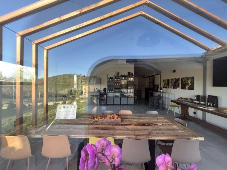 walk-among-the-rows-of-vineyards-and-wine-tasting