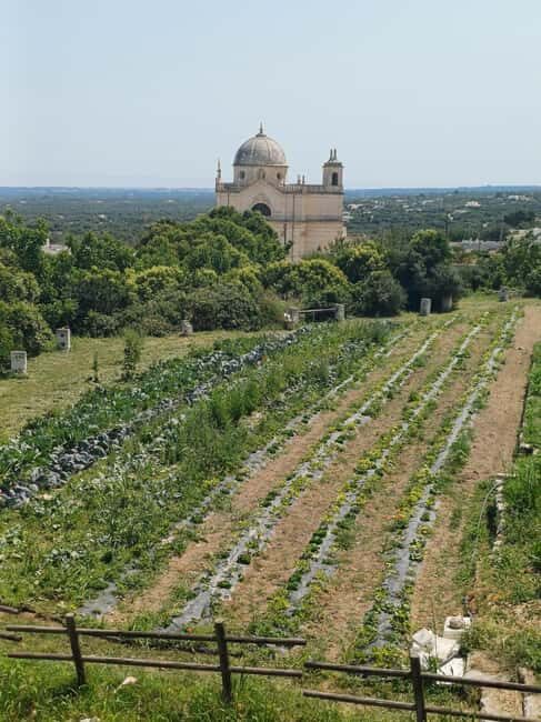 Walk and Aperitif in the Secret Gardens of Ostuni - Exploring the Heart of Ostuni: A Walk Through History and Flavors
