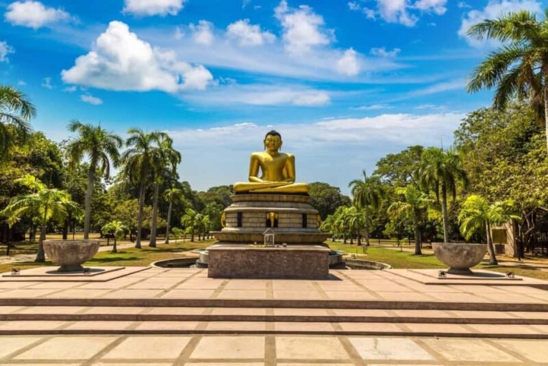 Walk and Explore Colombo City: Guided Walk with Food Tasting - Key Points