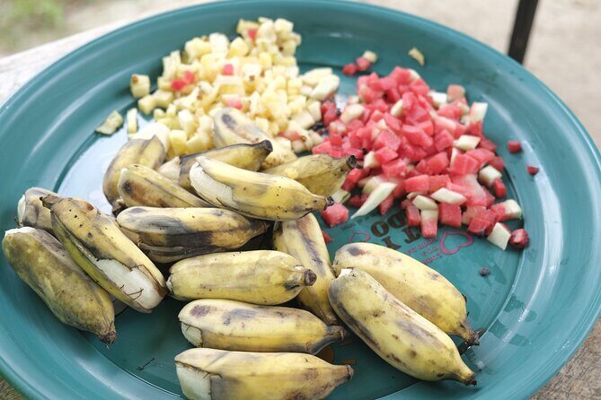 Walk and Feed at Bukit Elephant Park Phuket - FAQs