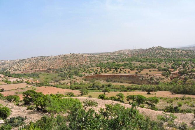 Walk between Argan Forest, Ocean & Waterfalls. 12 km - A Deep Dive into the Experience