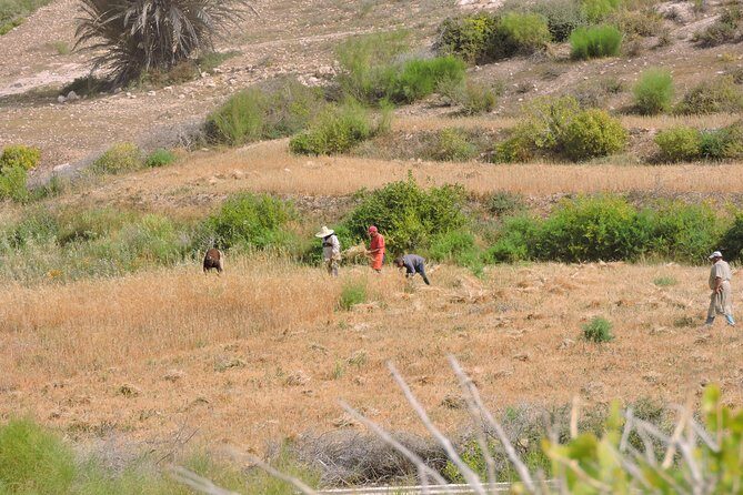 Walk between Argan Forest, Ocean & Waterfalls. 12 km - Final Thoughts
