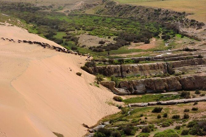 Walk between Argan Forest, Ocean & Waterfalls - Key Points