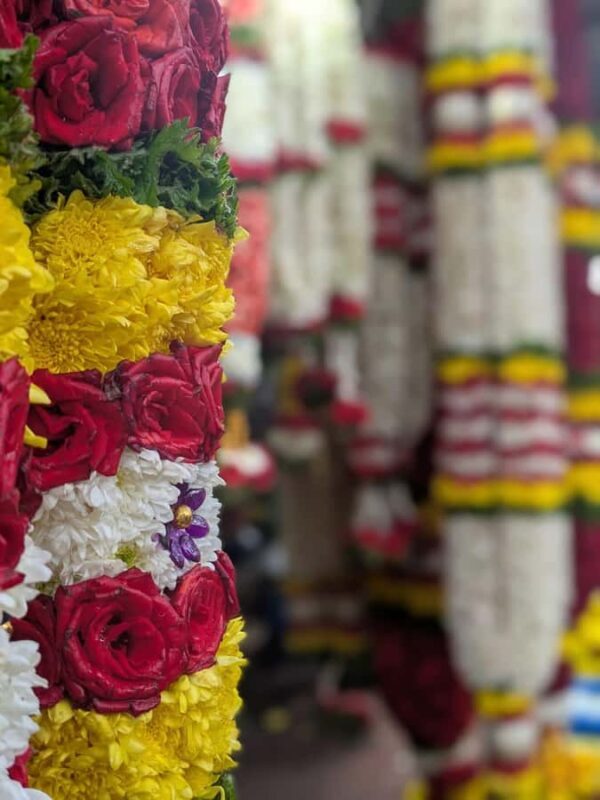 Walk in Bangalore: Lake, Temple, Market w/ Snacks - What Past Travelers Say