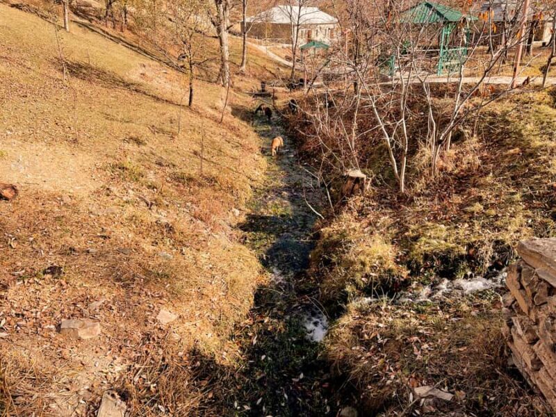 Walk in Hayat, watch the sheep, Lake Aydar, yurt and more! (3 days) - FAQ