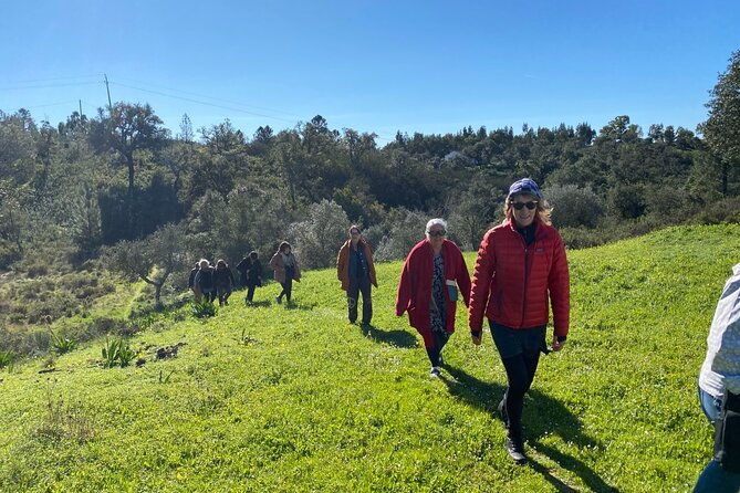 walk-in-the-hills-with-goat-herder-local-honey-wine-and-cheese-tasting