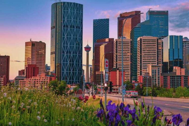 walk-the-best-of-calgary-private-tour