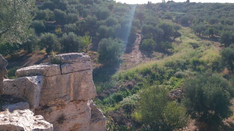 Walk through Lama S.Croce: Between Trulli and Olive Trees - A Thorough Look at the Experience  