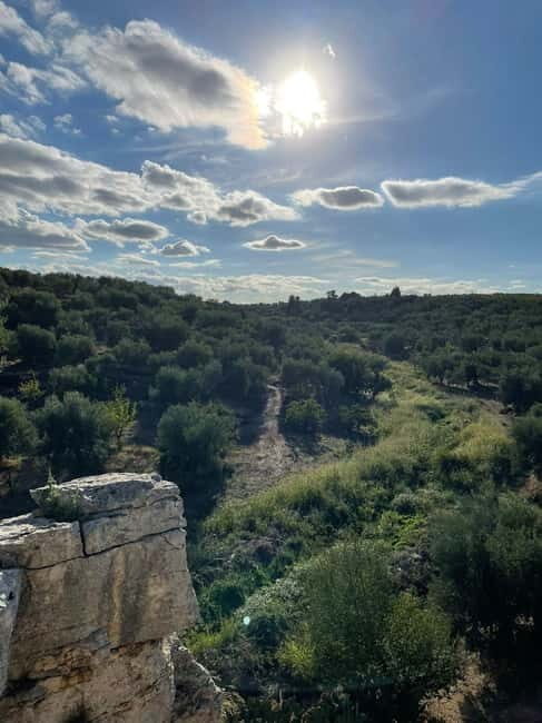 Walk through Lama S.Croce: Between Trulli and Olive Trees - Final Thoughts  