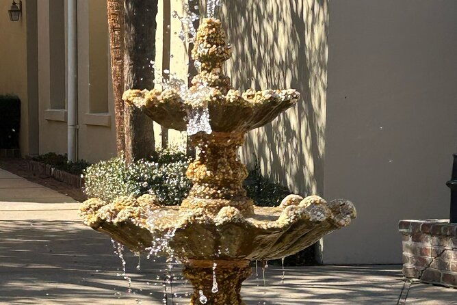 walk-through-time-with-a-native-on-our-charm-of-charleston-tour