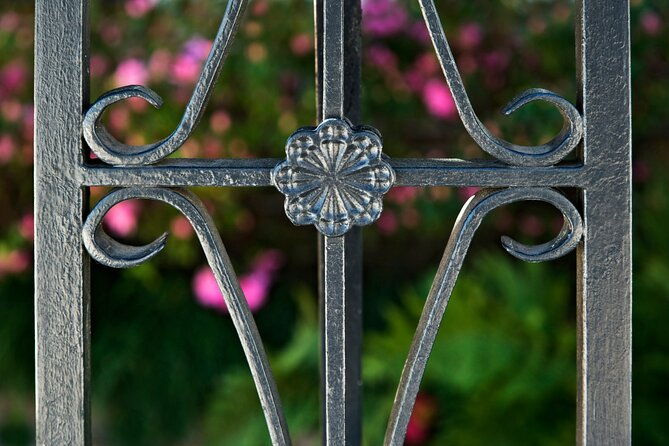 walk-through-time-with-a-native-on-our-charm-of-charleston-tour