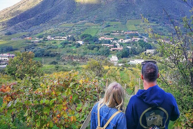 walk-through-vineyards-breathtaking-views-and-flavors-of-salina