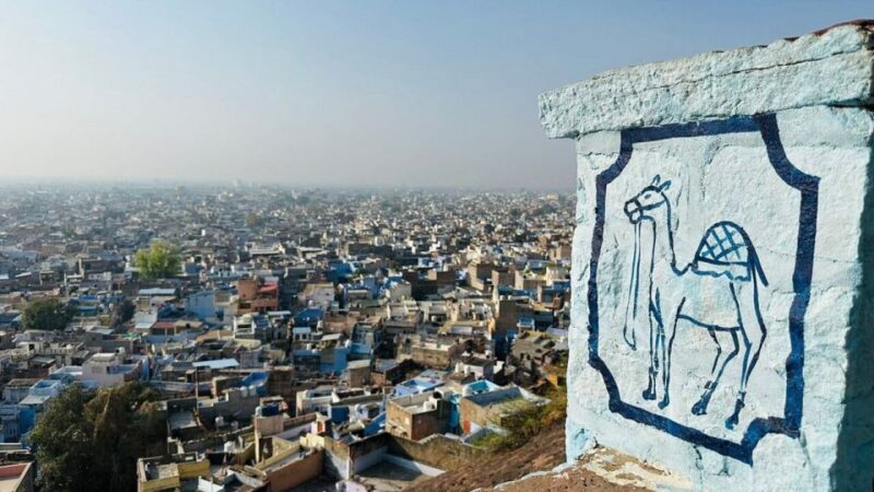 walk to bluecity heritage tour - Who Should Consider This Tour?