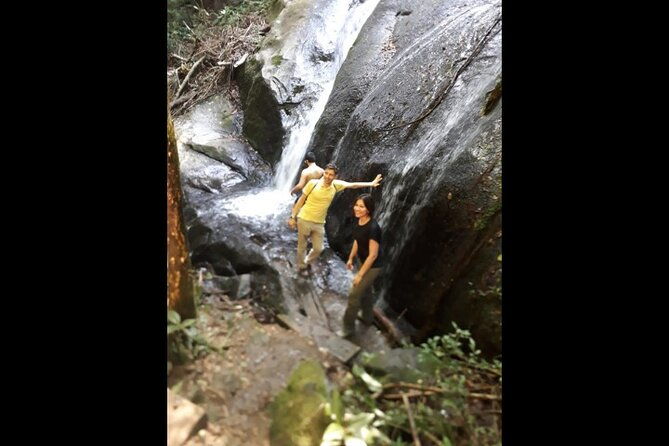 walk-to-the-big-rock-in-cantareira-state-park-optional-airport-pick-up