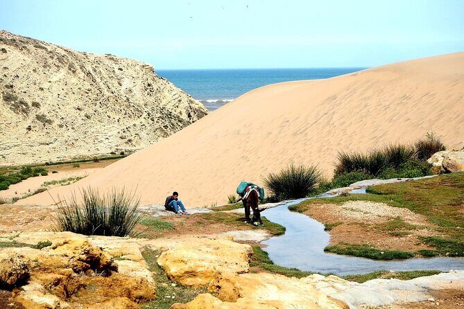 Walk to the cascade and marabout of Sidi Mbark & for a tea to Kaouki - Key Points