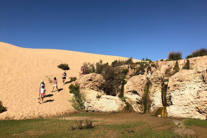 Walk to the cascade and marabout of Sidi Mbark & for a tea to Kaouki - The Sum Up