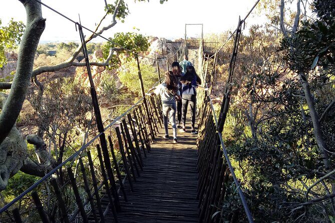 Walk with Elephants Experience plus Monkey Forest Walk - Final Thoughts