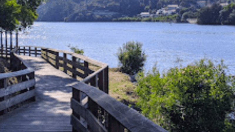 walk-with-strangers-douro-landscapes