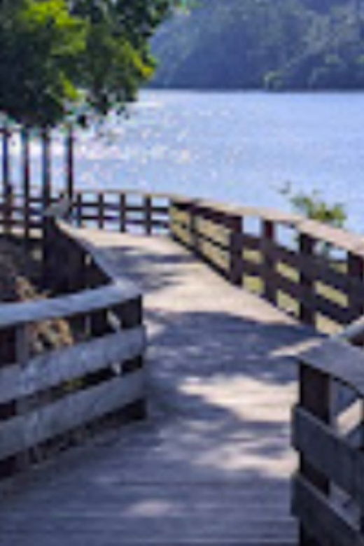 walk-with-strangers-douro-landscapes