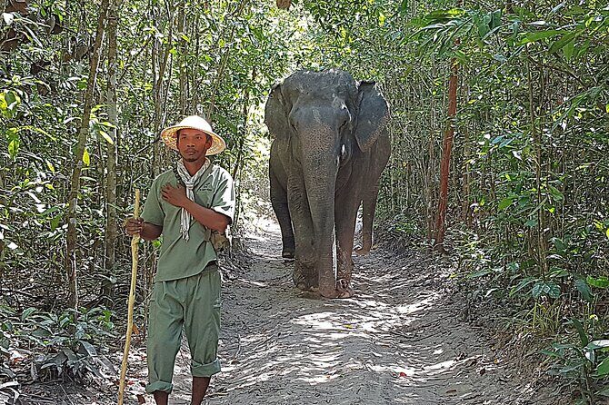 Walk with the Elephants by Cambodiajeep - Visiting Kulen Elephant Forest Camp
