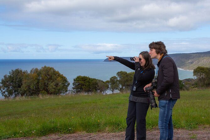 Walk with Wildlife: Guided Tour in Great Ocean Road - An Honest Look at the Guided Wildlife Walk